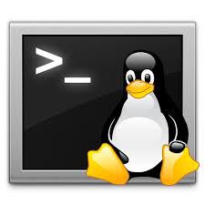  Perintah Dasar Linux Lengkap dan Fungsinya