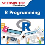 R Programming