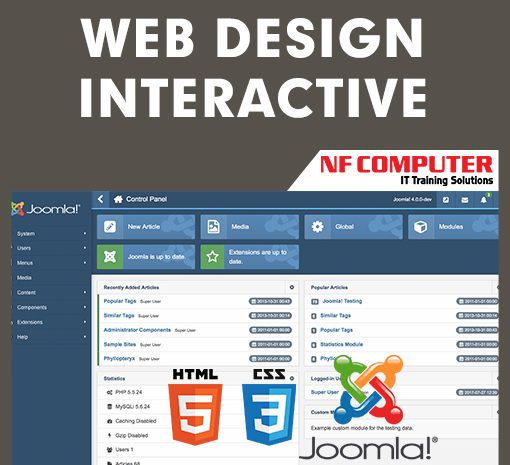  Web Design Interactive