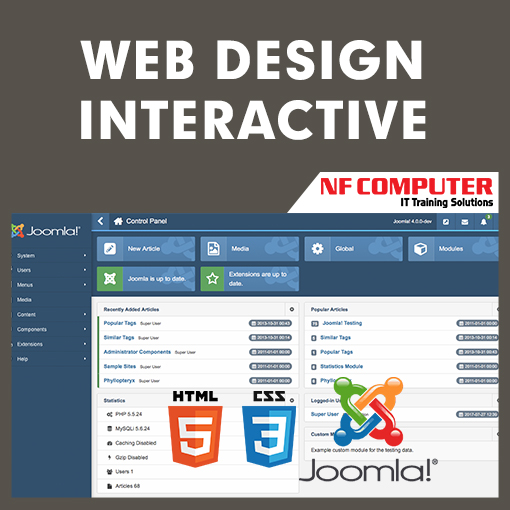 Web Design Interactive