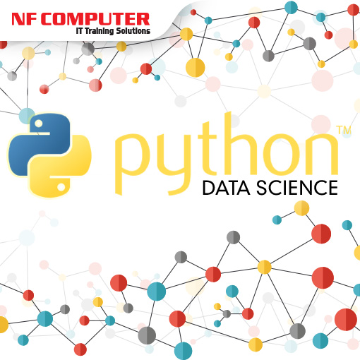 python data science