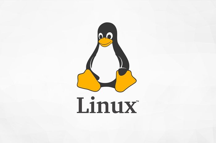  21 Distro Linux Terbaik